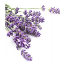 Λεβάντα Αιθέριο Έλαιο 10ml Pure Natural